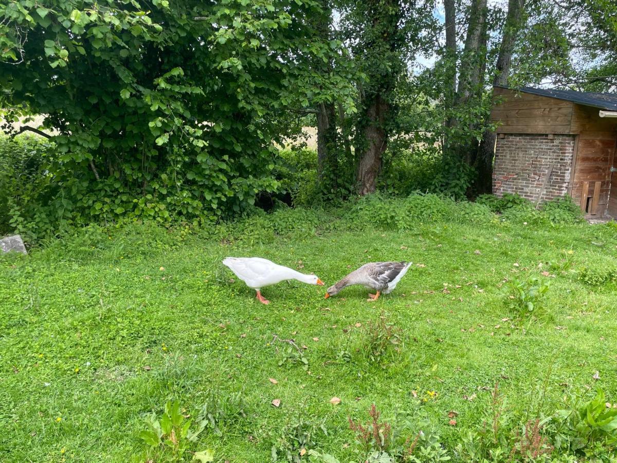 Hôtel Le Moulin des Lambotte à Crulai Extérieur photo